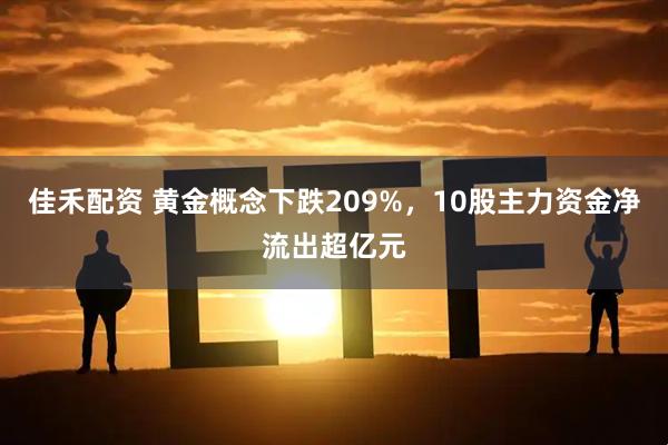 佳禾配资 黄金概念下跌209%，10股主力资金净流出超亿元