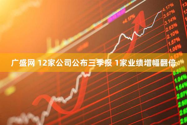 广盛网 12家公司公布三季报 1家业绩增幅翻倍