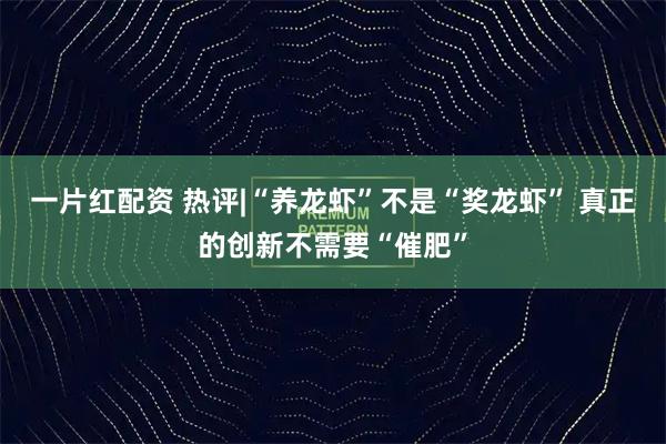 一片红配资 热评|“养龙虾”不是“奖龙虾” 真正的创新不需要“催肥”